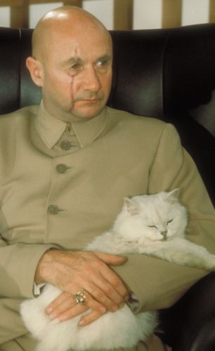 gato blofeld james bond