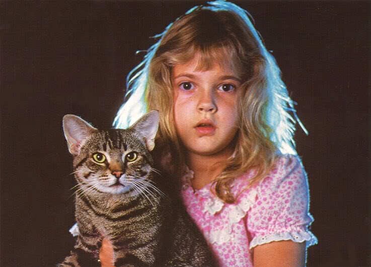 gatos misteriosos