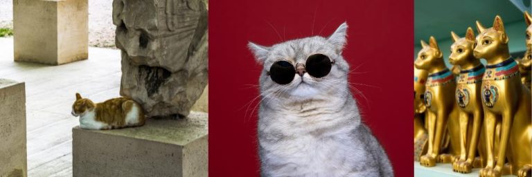 los mejores museos de gatos del mundo