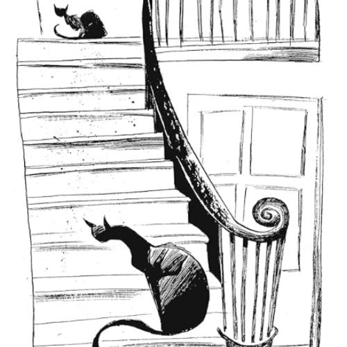 Varjak Paw: El gato ninja que lucha por sobrevivir