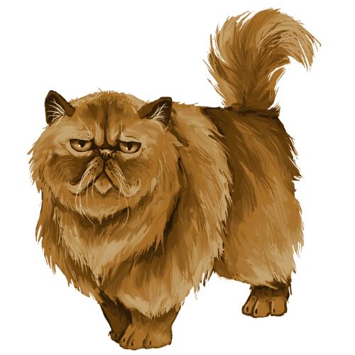 Crookshanks: El gato detective en Harry Potter
