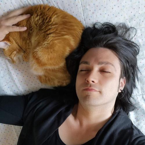 Carta a mi Gato Auri | Un año sin ti