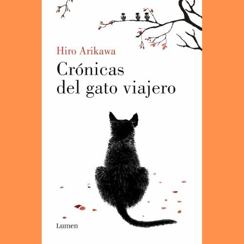 5 razones por las que necesitas un libro de fantasía acogedora con gatos en tu vida (y dónde empezar)